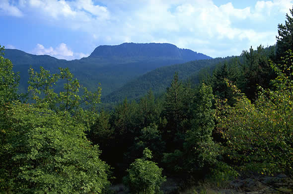 Parco Foreste Casentinesi