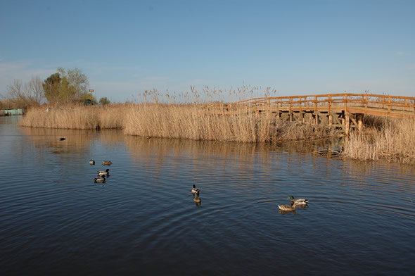 Oasi Lipu Lago di Massaciuccoli