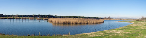 Parco Migliarino San Rossore Massaciuccoli