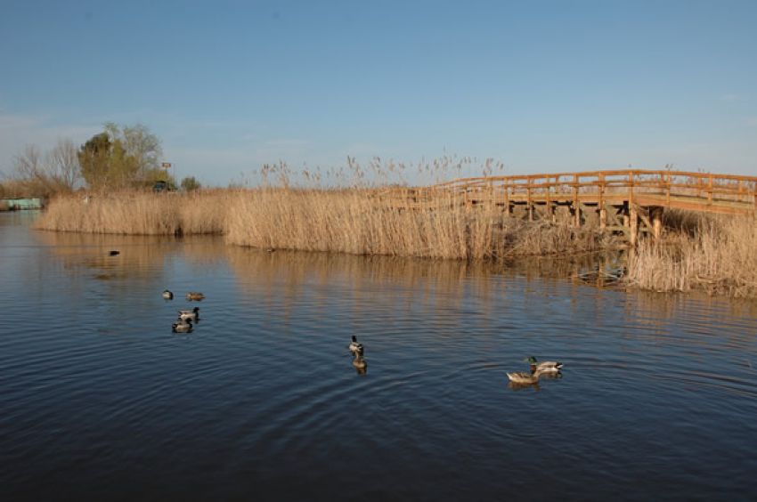 Parco Naturale Migliarino San Rossore Massaciuccoli