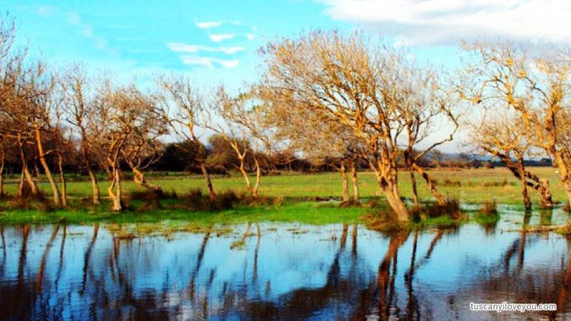 Rifugio Faunistico di Bolgheri