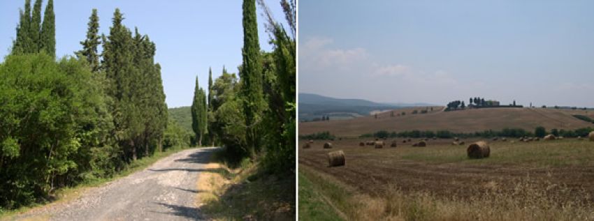 La Macchia della Magona