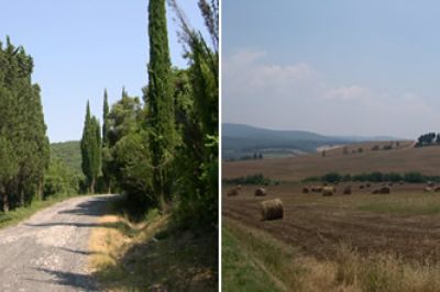 La Macchia della Magona