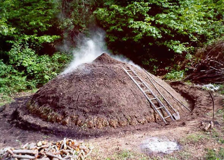 Parco Forestale Poggio Neri