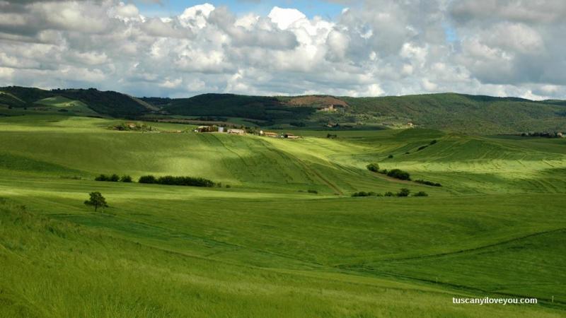 Monti e colline pisane